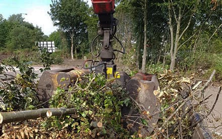 Green waste removal