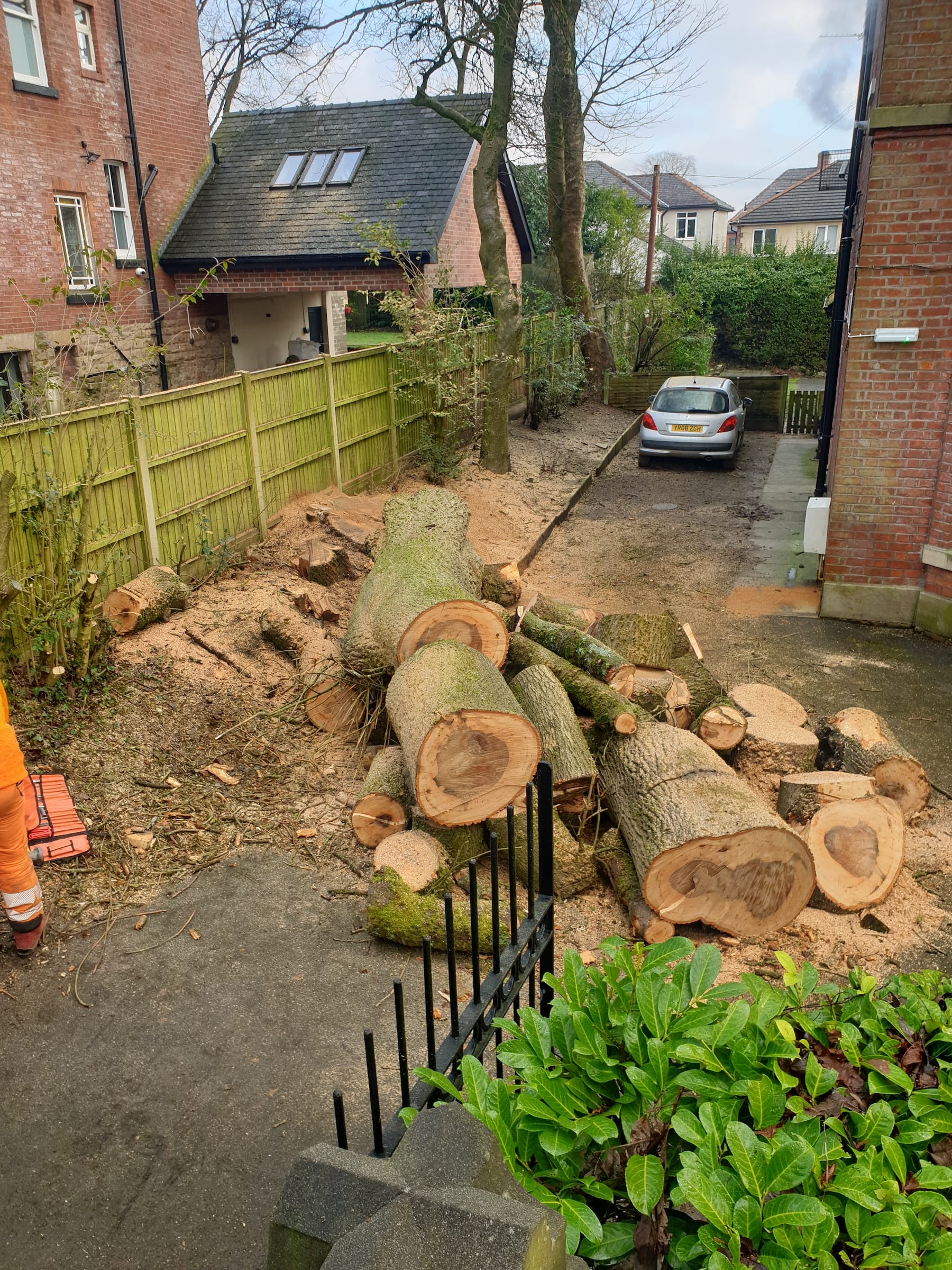 Tree trunks removed